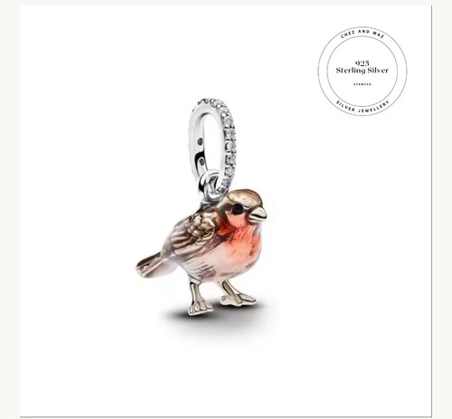 Robin bird charm dangle - bird, charm,